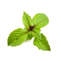Bild av Click &amp; Grow and Smart Garden Refill 3 pack Cinnamon Basil