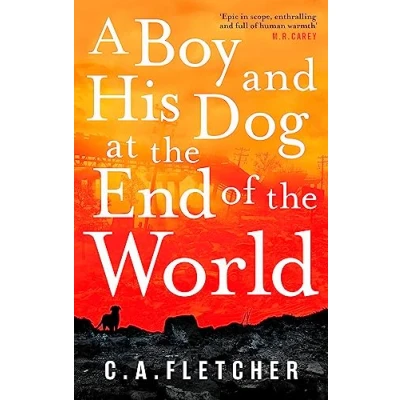 Bild av A Boy and his Dog at the End of World