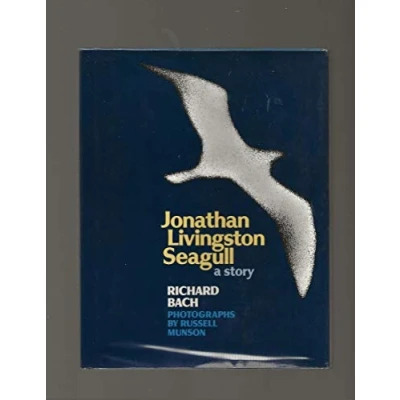 Bild av Jonathan Livingston Seagull