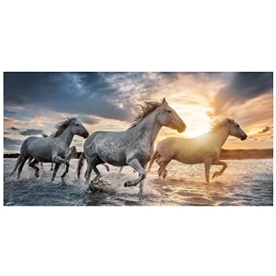 Bild av Theonoi barnhandduk badhandduk strandhandduk duschhandduk för flickor och pojkar 100 % bomull 70 x 140 cm (häst)