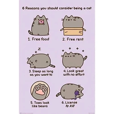 Bild av Pusheen (Reasons to be a Cat)