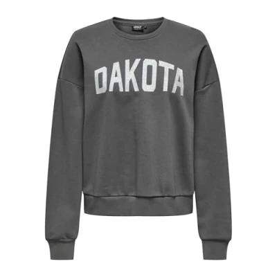 Bild av ONLY Onljolana Glitter Oneck Sweatshirt magnet, Storlek: Large, Magnet