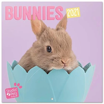 Bild av Grupo Erik Väggkalender Studio Pets Kaniner kalender 2021 för 16 månader, CP21059
