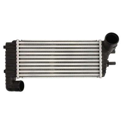 Bild av Laddluftkylare THERMOTEC DAG025TT