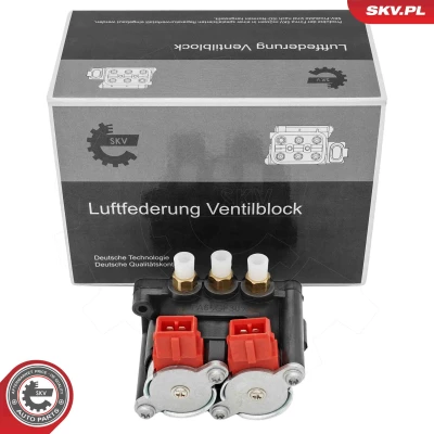 Bild av ESEN SKV 93SKV818 Ventil, kompressorsystem styrventil BMW: 5 Touring