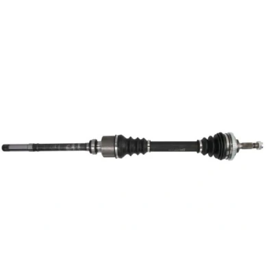 Bild av Drivaxel PASCAL G2P008PC