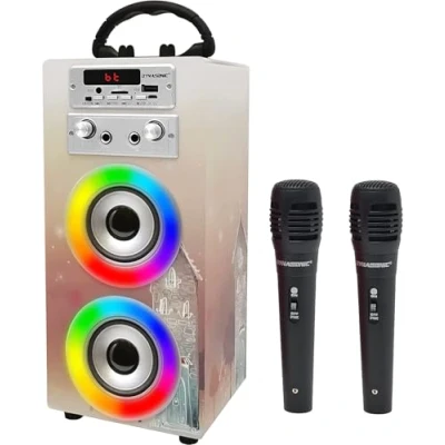 Bild av DYNASONIC Karaoke med 2 mikrofoner, bärbar karaokemaskin. Bluetooth högtalare ljus. USB och SD läsare present till pojkar flickor i åldrarna 5 13 år (modell 19)