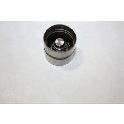 Bild av AUTOMEGA 130085510 Poussoir hydraulique Côté d&#039;admission, d&#039;échappement PEUGEOT: 206 3/5 portes, 307 Break, portes