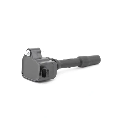 Bild av Tändspole Bosch 0 986 221 124