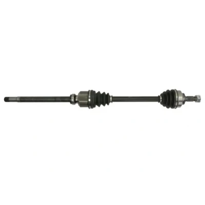 Bild av Drivaxel PASCAL G2C093PC