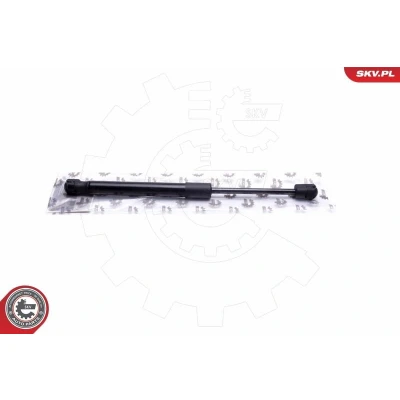 Bild av Gasfjäder, bagageutrymme, jaguar x type i, 1X43F406A10AB, C2S1687