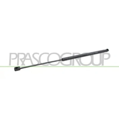 Bild av PRASCO FD4249055 Vérin de coffre 530 484 arrière gauche, droite FORD: Focus 2