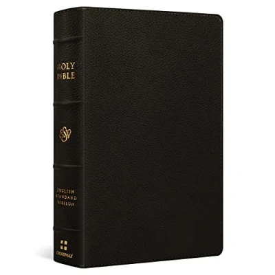 Bild av Esv Large Print Personal Size Bible: Bible Buffalo Leather, Deep Brown