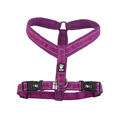 Bild av Hurtta Casual Y Hundegeschirr blau, 90 cm