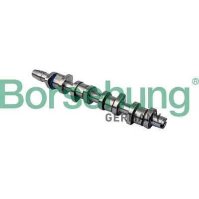 Bild av Borsehung B11323 Arbre à Cames AUDI: A4 B7 Avant, Berline, B6 Berline