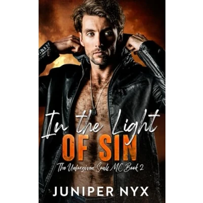 Bild av In The Light of Sin: Unforgiven Souls MC Book 2