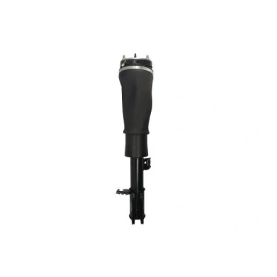 Bild av Luftfjäderben Magnum technology APL018MT