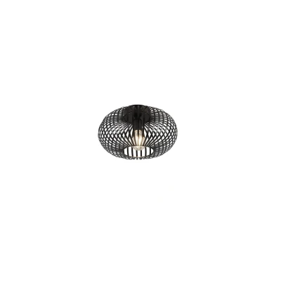 Bild av Taklampa TRIO Johann 30 cm