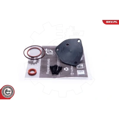 Bild av Rep.sats, vakumpump (bromsar), audi,vw, 068145101A, 068145101AX, 068145101B, 068145101BX, 068145101C, 068145101CX, 068145101D, 068145101