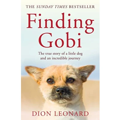 Bild av Finding Gobi (Main edition): The true story of a little dog and an incredible journey