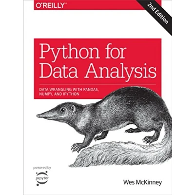 Bild av Python for Data Analysis, 2e