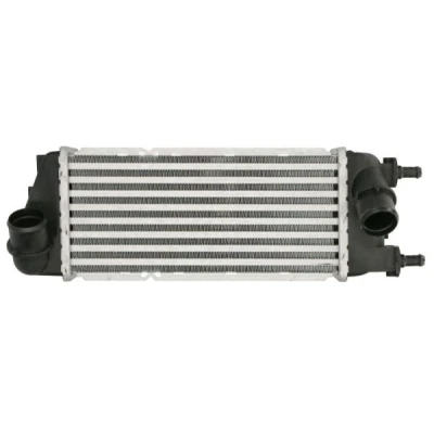 Bild av Laddluftkylare THERMOTEC DAF016TT