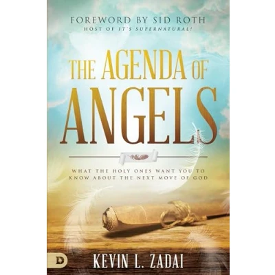 Bild av the Agenda of Angels: What Holy Ones Want You to Know About Next Move God
