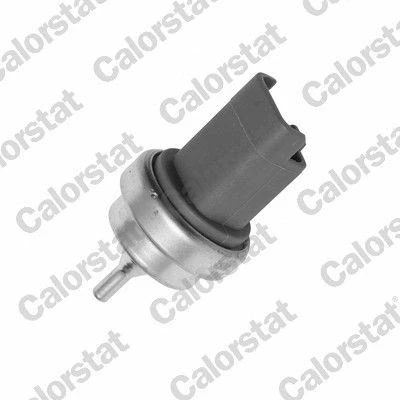 Bild av CALORSTAT by Vernet WS3015 Sonde De Température Liquide Refroidissement PEUGEOT: 308 I 3/5 portes, 206 207 portes