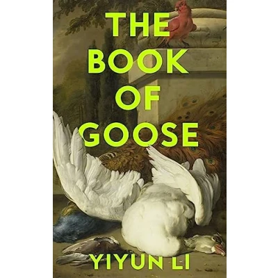 Bild av the Book of Goose: gripping new novel from prize winning author Where Reasons End
