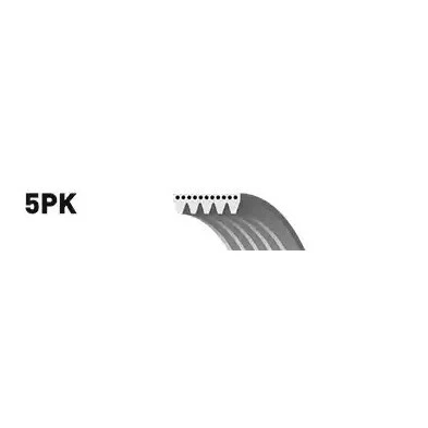 Bild av SNR CA5PK1115 Courroie Poly V 1115 5 AUDI: A4 B7 Avant, Q7, B6 Berline, TOYOTA: Corolla IX Station Wagon, 3/5 portes, Verso