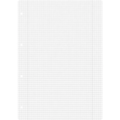 Bild av Brunnen 1066948 ringpärminlägg A4 (rutat med marginallinjer, linjering 28, 100 ark, 70 g/m²), vit