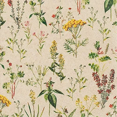 Bild av 20 servetter Eco Line hållbara av 100 % återvunnet papper äng fulla växter blommor vår sommar bordsdekoration 33 x cm