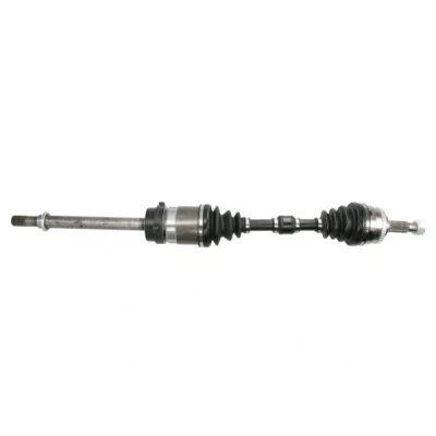 Bild av Drivaxel PASCAL G21006PC