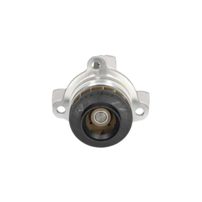 Bild av KAVO PARTS NW 1283 Pompe à eau avec joint d&#039;étanchéite RENAULT: SCENIC 3, GRAND ESPACE 4, NISSAN: Qashqai / Qashqai+2 I, X Trail