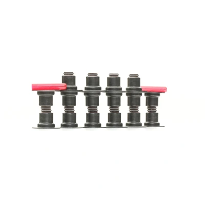 Bild av CORTECO 19036006 Jeu de joints d&#039;étanchéité, tige soupape FPM (caoutchouc fluoré) PEUGEOT: 206 3/5 portes, 307 CC, 306 portes