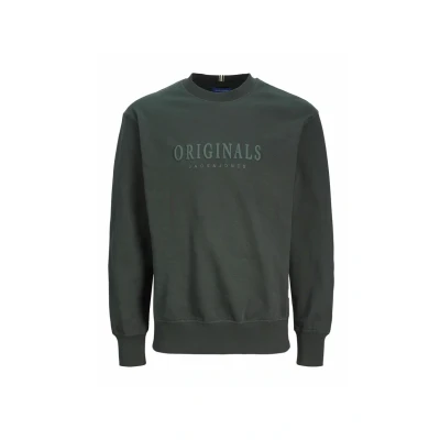 Bild av Jack &amp; Jones Sweatshirt, Storlek: Small, Forest river