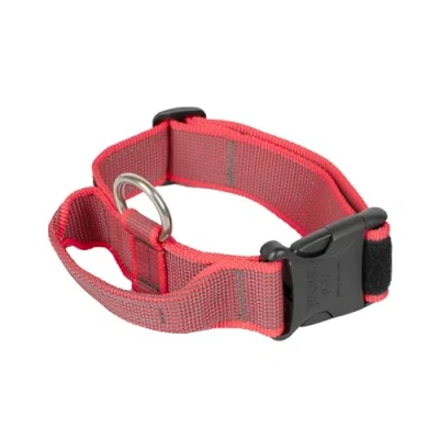 Bild av Julius K9 C&amp;amp G Halsband, m/handtag, röd/grå, 40mm/38 53c