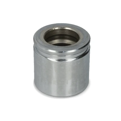 Bild av AUTOFREN SEINSA D025541K Piston, étrier de frein 38 Essieu arrière TRW VOLKSWAGEN: Passat B6 Berline, Variant, OPEL: Zafira C Tourer