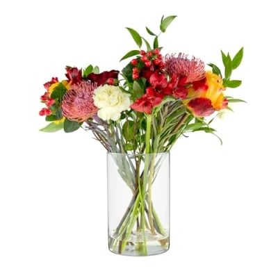 Bild av TREND FOR HOME Stor glasblomvas 21,5 cm cylindrisk modern vas hög cylindrar för festdekoration bord dekorativ blommor Ø 13,5 fleur