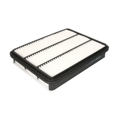 Bild av Luftfilter FILTRON AP 143/2