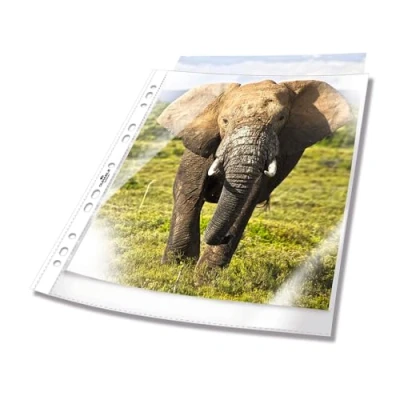 Bild av Durable 265819 hålad plastficka (A4 Business 0.06 mm), 100 st, transparent