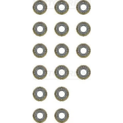 Bild av REINZ 12 54047 01 Jeu de joints d&#039;étanchéité, tige soupape ISUZU: D Max 1 Pickup