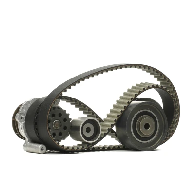 Bild av DOLZ KD047 Pompe à Eau + Kit De Distribution 141 AUDI: A3 Sportback, 3/5 portes, A4 B7 Berline, VOLKSWAGEN: Golf 5, Touran I, Passat B6 Variant