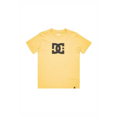 Bild av DC Shoes STAR Tshirt med print för barn, Storlek: 146/152, Xyyb rattan