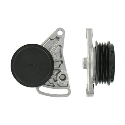 Bild av SKF VKM 31059 Poulie Tendeur AUDI: A4 B6 Avant, A6 C5 B5 Berline, VOLKSWAGEN: Passat GP Break, Berline