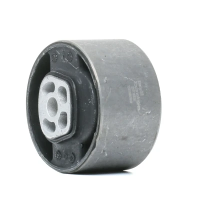 Bild av DELPHI TEM089 Support moteur PEUGEOT: 307 SW, Partner I Combispace, Break, CITROËN: Xsara Picasso, C5 II 5 portes, Jumpy Van