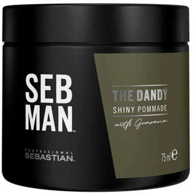 Bild av SEB MAN THE DANDY Pomade med lätt grepp och blank finish stylingkräm för levande stilar stimulerande doft av bergamott rosa peppar 75 ml