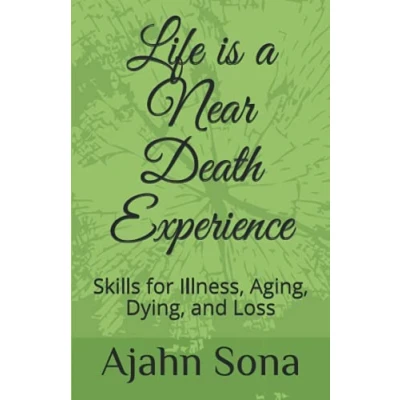 Bild av Life is a Near Death Experience: Skills for Illness, Aging, Dying, and Loss