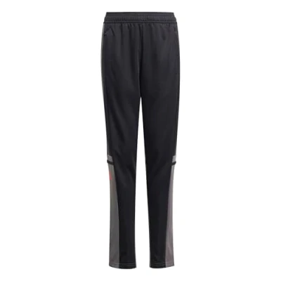Bild av adidas Unisex Barn SQUADRA25 TRAINING PANT KIDS, black/team grey four/pure ruby, 9 10 Years