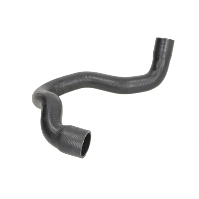Bild av THERMOTEC DWM206TT Durite De Refroidissement Radiateur moteur, à droite, inférieur EPDM (éthylène propylène diène caoutchouc)